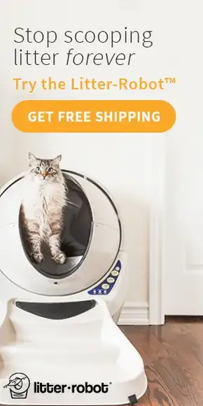 327 Spanish Cat Names Spanish Names For Kittens
