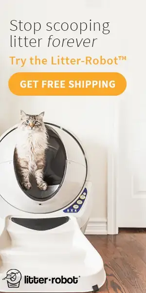 321 Unisex Cat Names