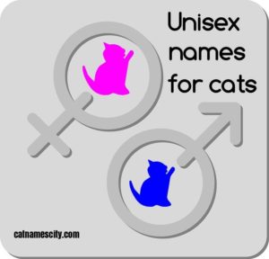 unisex baby names for cats